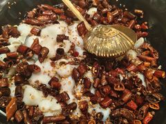 -雀蓝川菜(奥体广场店)