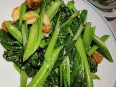 -大榕树下顺德菜(融创茂店)