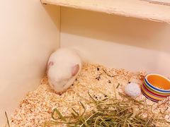 -龙猫仔乐园(惠福东路店)