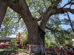-新安江山水画廊风景区