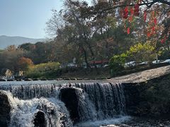 -广州市石门国家森林公园