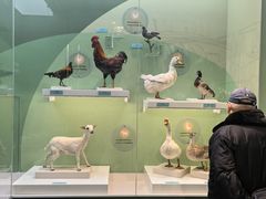 -国家自然博物馆