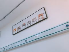 -美联众合动物医院·24h京西诊疗中心