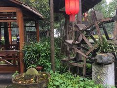 -青城甲(青城山店)