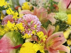 -三圣花乡旅游区