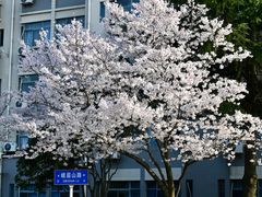 -江南大学(蠡湖校区)