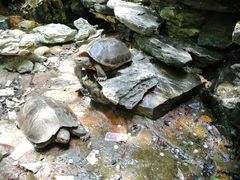 -古龙峡云天玻霸