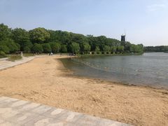 -上海鲜花港