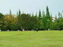 -成都南湖公园