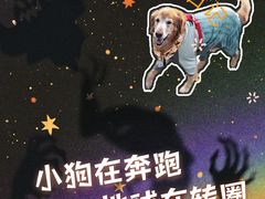 -东钱湖旅游度假区