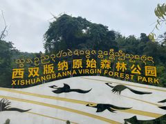 -西双版纳原始森林公园