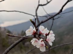 -北京十三陵国家森林公园蟒山景区