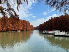 -上海海湾国家森林公园