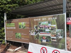 -芦仙山景区-飞越丛林探险乐园