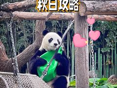 -北京动物园