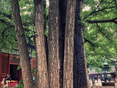 -红螺寺