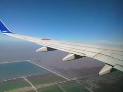 -全日本空输株式会社(上海办事处)