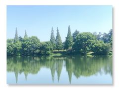 -尚湖风景区