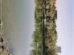 -东湖公园