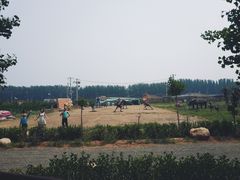 -河北村民俗体验园