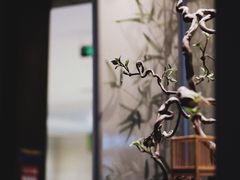 -翡翠江南(国贸商城店)