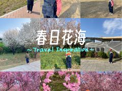 -郑州植物园