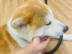 -YCHL Studios健身工作室(市二宫店)