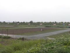 -上海都市菜园