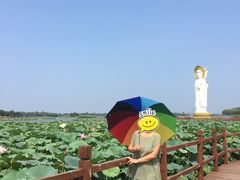 -白洋淀景区
