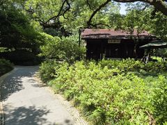 -中国茶叶博物馆(双峰馆区)
