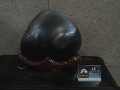 android_upload_pic-中华赏石园
