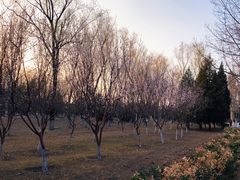 -东升八家郊野公园
