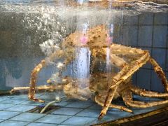 -小榄人家酒楼(民安店)