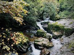 -龙苍沟森林公园