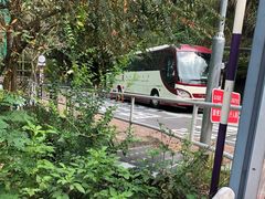 -大埔公路-马料水段香港中文大学(公交站)