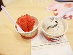 奥利奥和桑果雪葩-哈根达斯(武汉天地店)