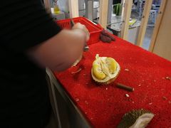 -都念榴莲·城市榴莲