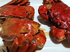 -呼吸森林·生态农庄农家乐私房菜