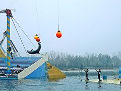 -秦皇岛乐岛海洋王国