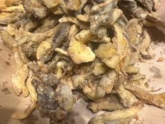 -鸽子窝(青塔店)