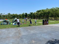 -春花秋色城市公园