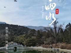 -香山公园