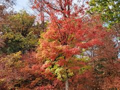 -长白山凯悦酒店·市集咖啡厅