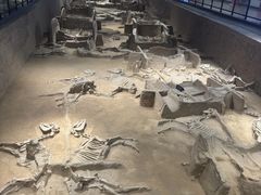 -洛阳周王城天子驾六博物馆