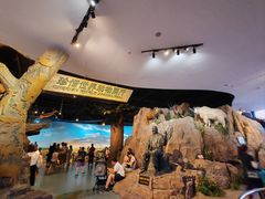 -陕西自然博物馆