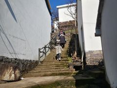 -四明山国家森林公园