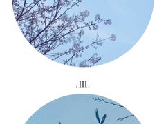 -武汉大学-樱园