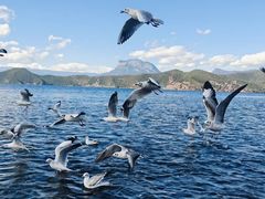 -泸沽湖国家级风景名胜区走婚桥