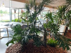 -云里小坐·海泉湾·团建·宴席·下午茶(金堂海泉湾店)