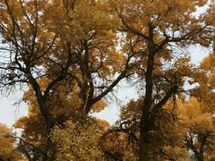 -敦煌莫高国际机场